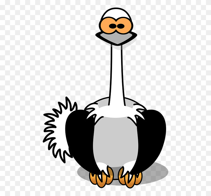 500x720 Ostrich Clipart African Bird - Ostrich Clipart Black And White