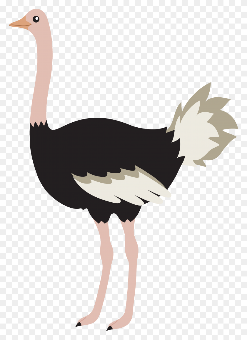 4401x6185 Ostrich Like Clipart - Ostrich Clipart Black And White
