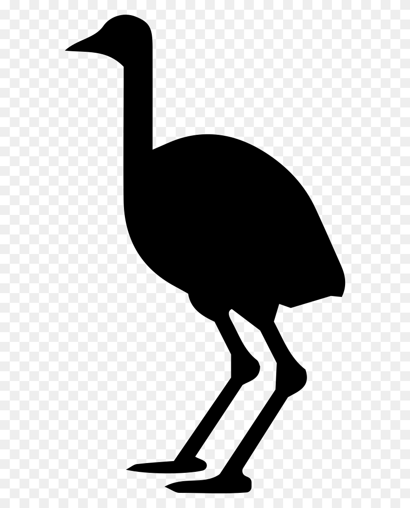 576x980 Ostrich Png Icon Free Download - Ostrich PNG