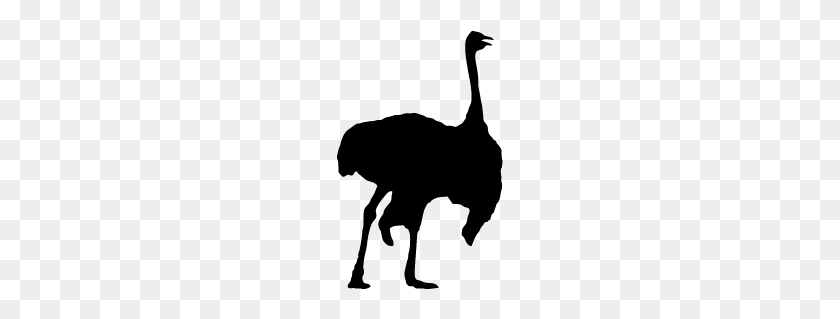 166x259 Ostrich Silhouette Silhouette Of Ostrich - Ostrich PNG