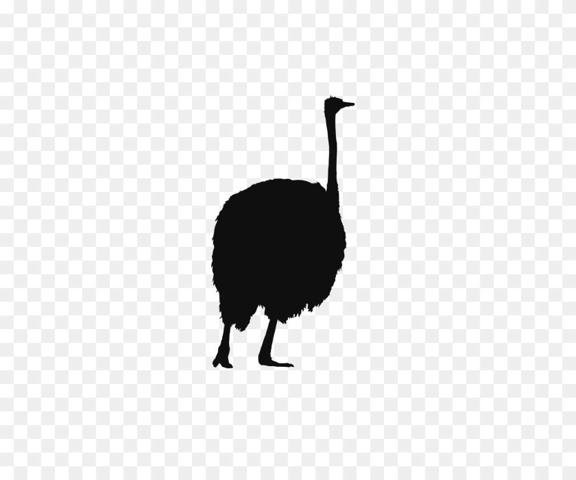 640x640 Ostrich Wild Animals Background, Ostrich, Paper Cutting, Black Png - Ostrich PNG