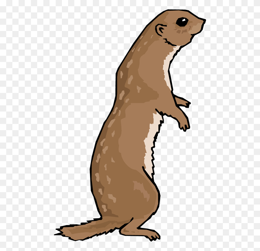 492x750 Otter Png - Otter PNG