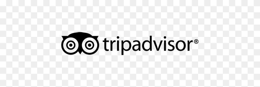 447x223 Nuestros Premios - Logotipo De Tripadvisor Png