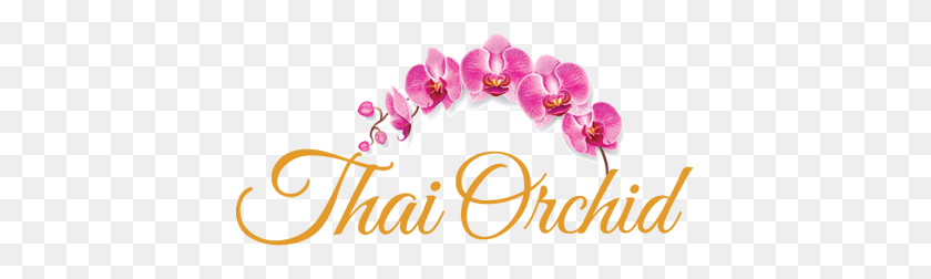 413x192 Nuestro Menú Thai Orchid - Orquídea Png