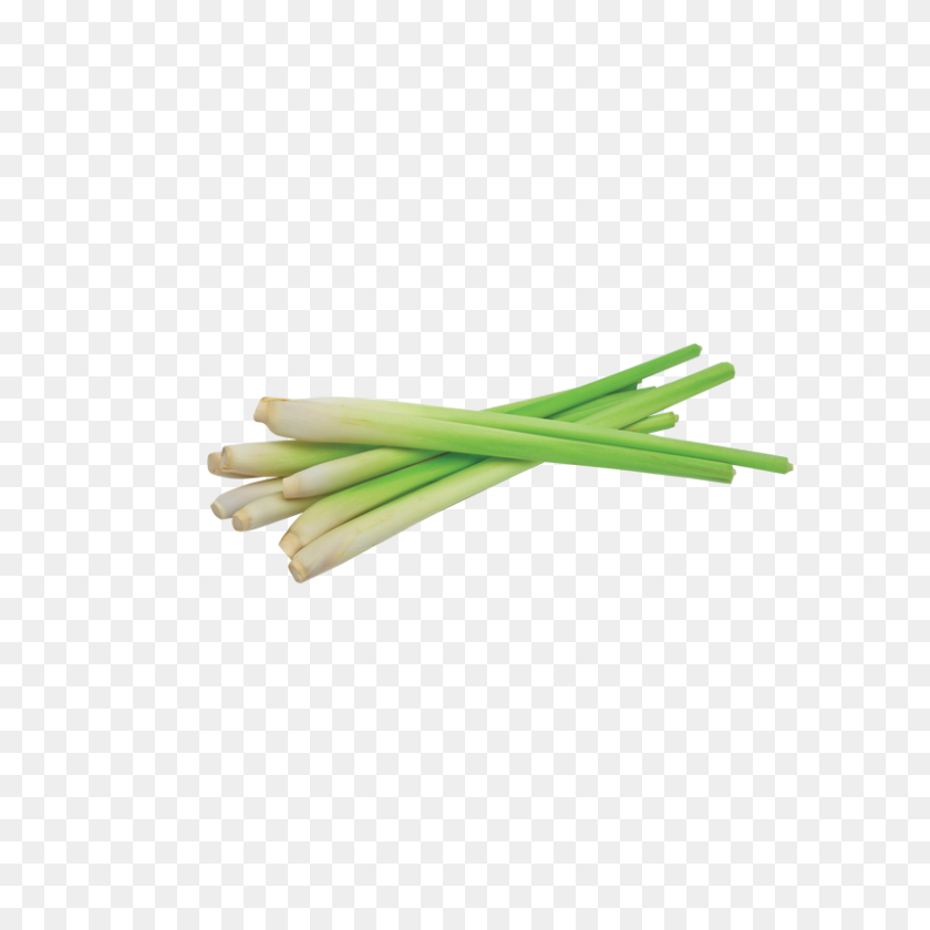 800x800 Our Scent Collection - Lemongrass PNG