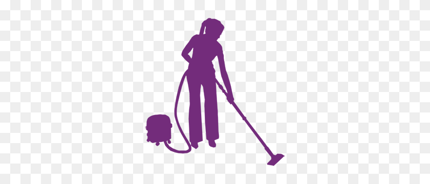 300x300 Our Services Little Lady Cleaning Company - Cleaning Lady PNG