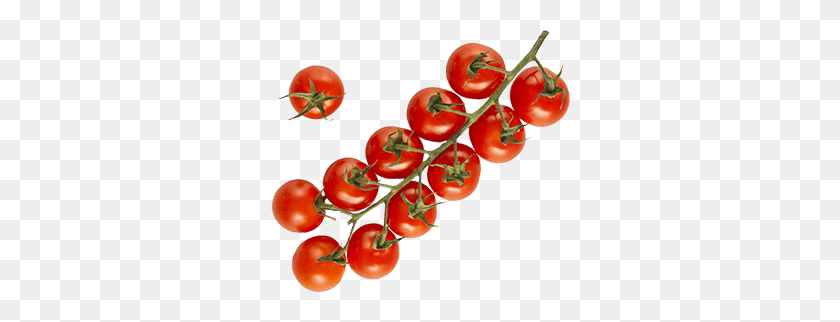 300x262 Our Vegetables Red Sun Farms - Tomato PNG