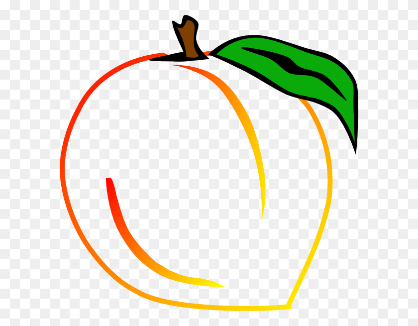 600x595 Outline Of Peaches Clipart Clip Art Images - Usa Outline Clipart