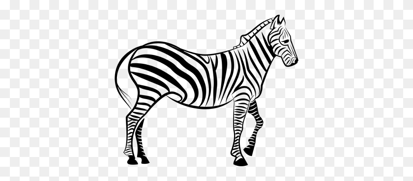 374x309 Outline Of Zebra - Zebra PNG