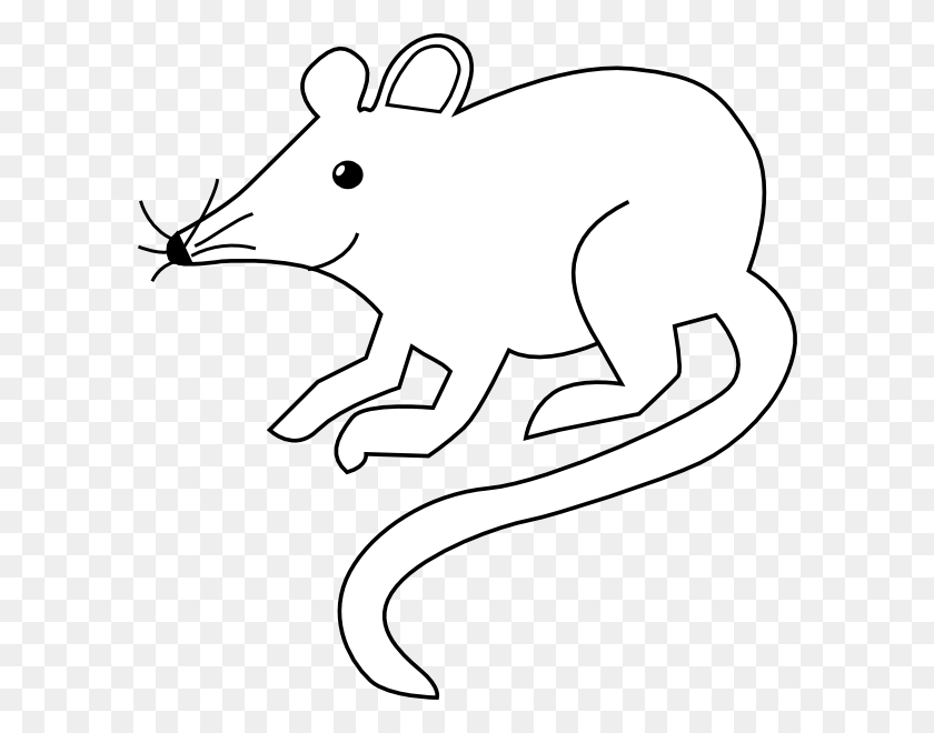 594x600 Outline Outlines, Mice - Skunk Clipart Black And White