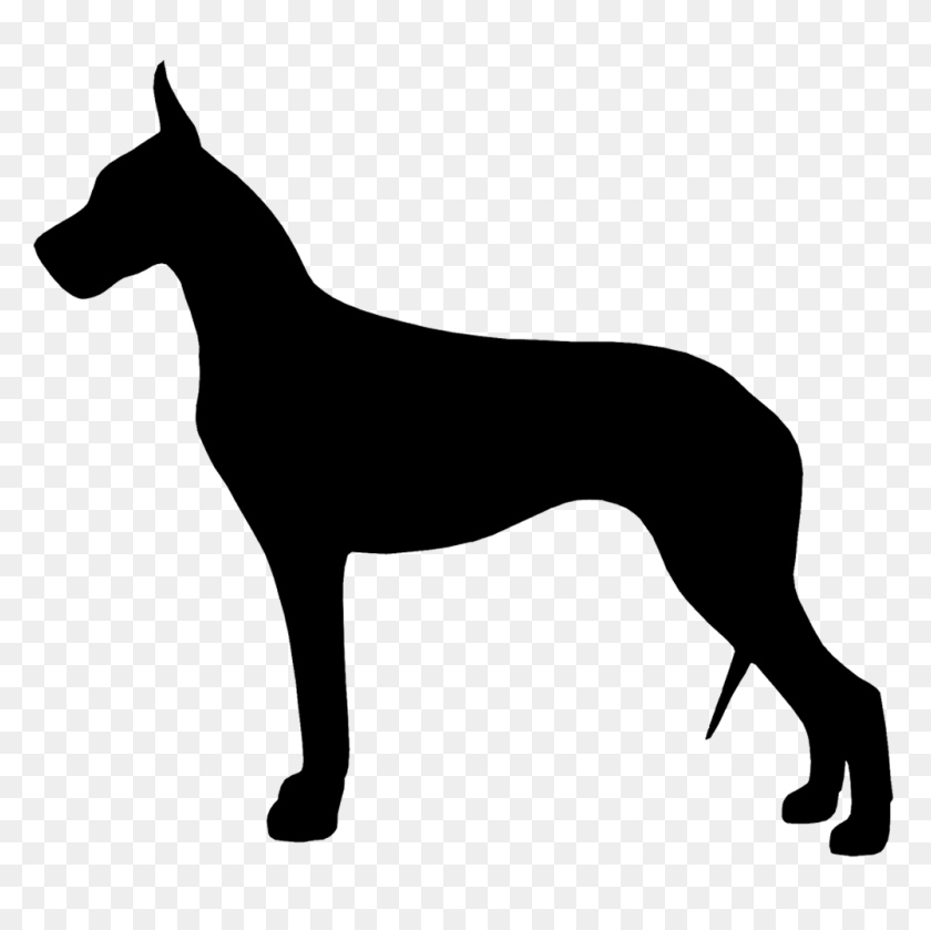 1000x1000 Over Great Dane Vector Cliparts Great Dane Vector - Rottweiler Clipart Black And White