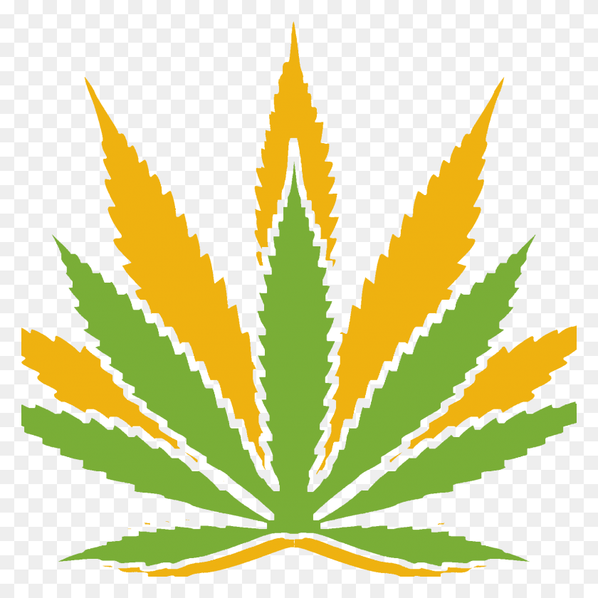 1528x1528 Descripción General De La Marihuana Medicinal Nature Med - Planta De Marihuana Png