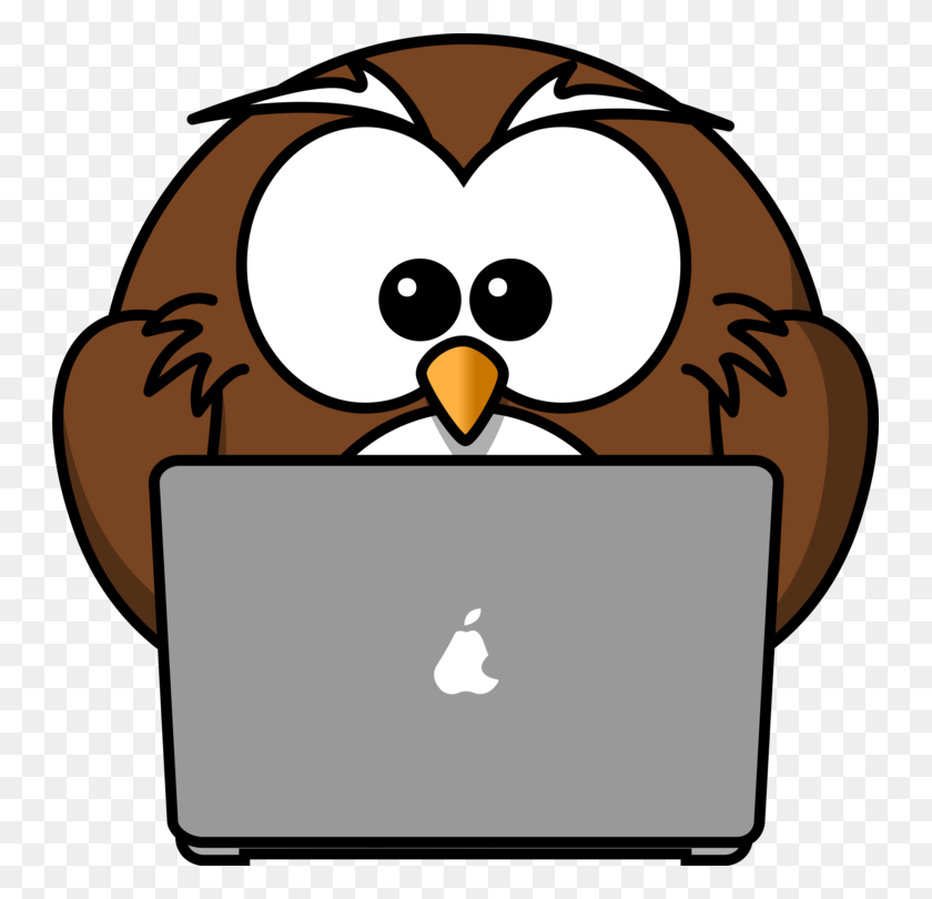 745x750 Owl Bird Drawing Cartoon - Night Owl Clipart