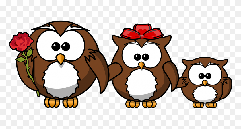 1280x640 Owl Mediation Family Rosehall Lawyers - Mediation Clipart