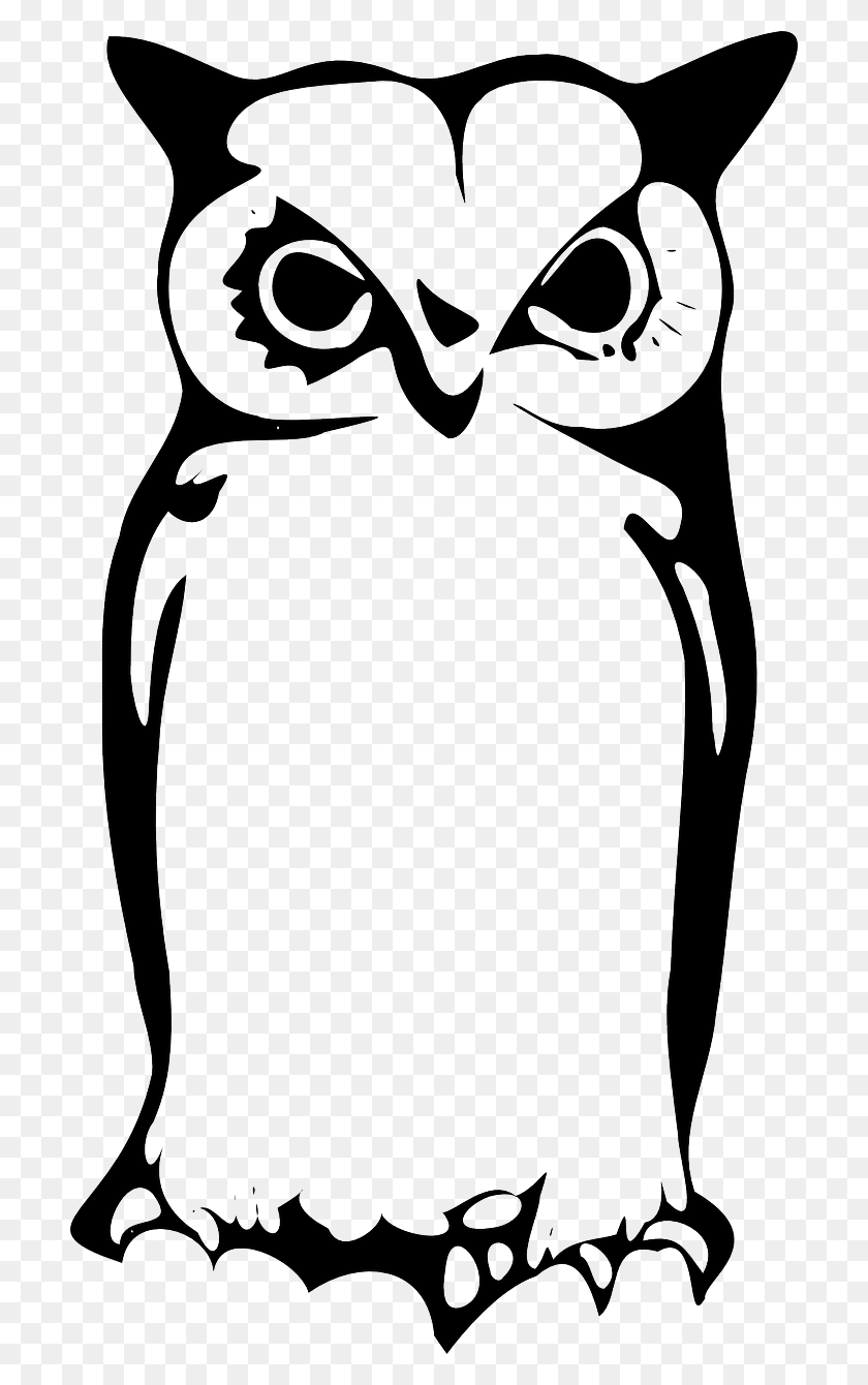 704x1280 Owl, Owlet, Eagle Owl, Animal, Bird - Owl Eyes Clipart