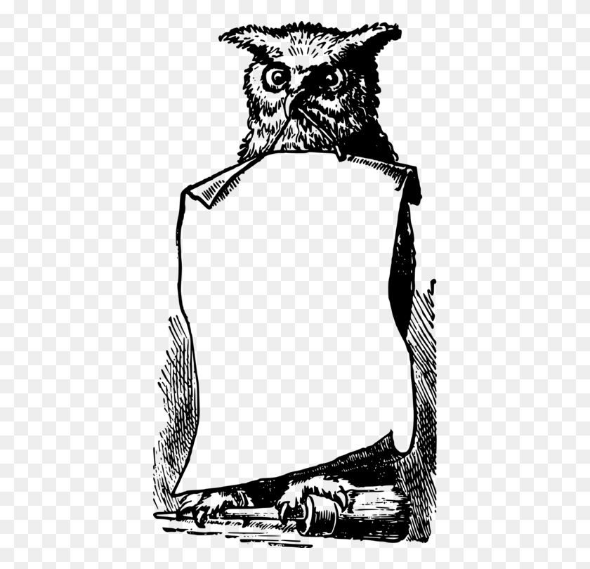 404x750 Owl Professor Minerva Mcgonagall Harry Potter Drawing Download - Owl Clipart Black And White