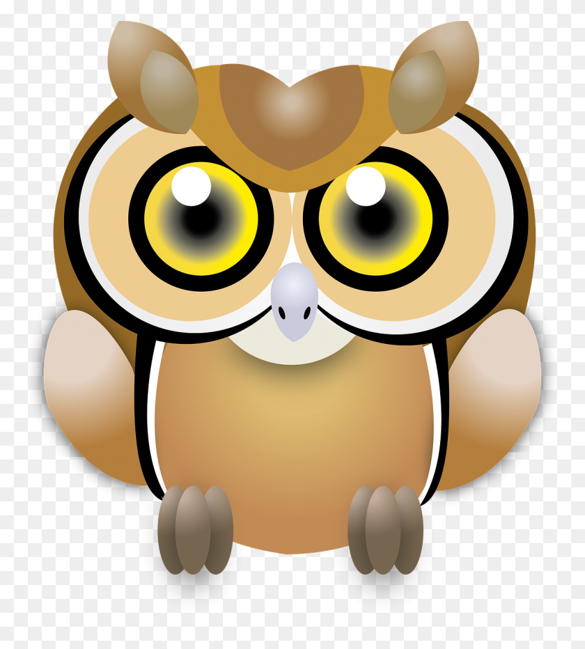 1144x1280 Owl, Wisdom, Ave, Feathers, Bird - Owl Eyes Clipart
