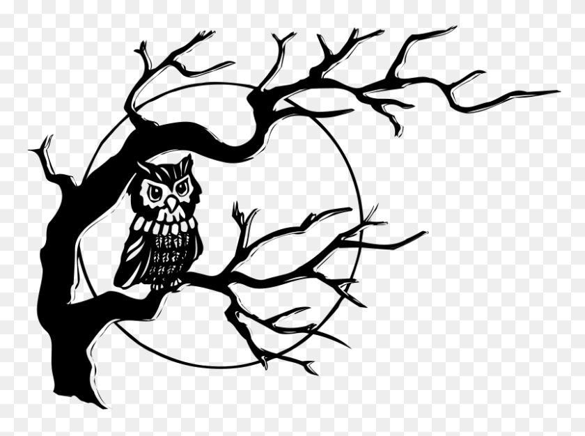 800x581 Owls And Superstions The Aviary - Water Drop Clipart Black And White