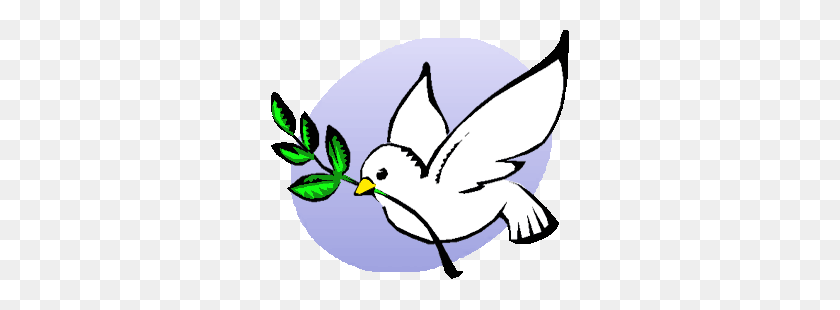 300x250 P Dove Peace - Peace PNG