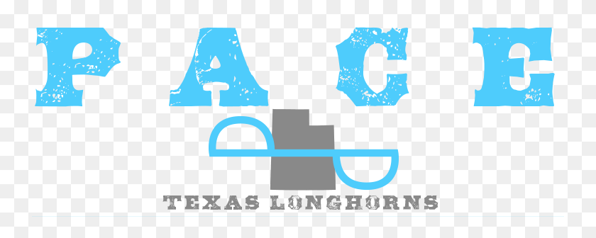 750x276 Pace Texas Longhorns Hogar De La Mina De Oro - Logotipo De Texas Longhorns Png