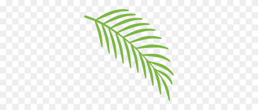 292x300 Пакт Об Экологически Чистом Пальмовом Масле - Пальмовая Ветвь Png