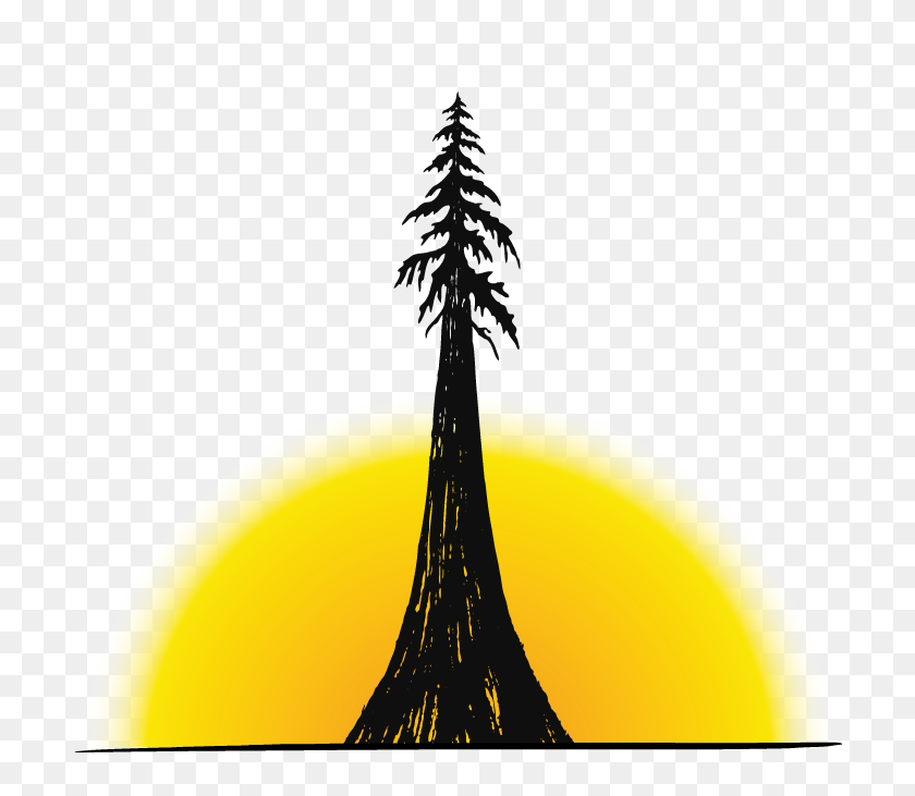 720x671 Pagelines Logo Notext Tall Tree Music Festival - Tall Tree PNG