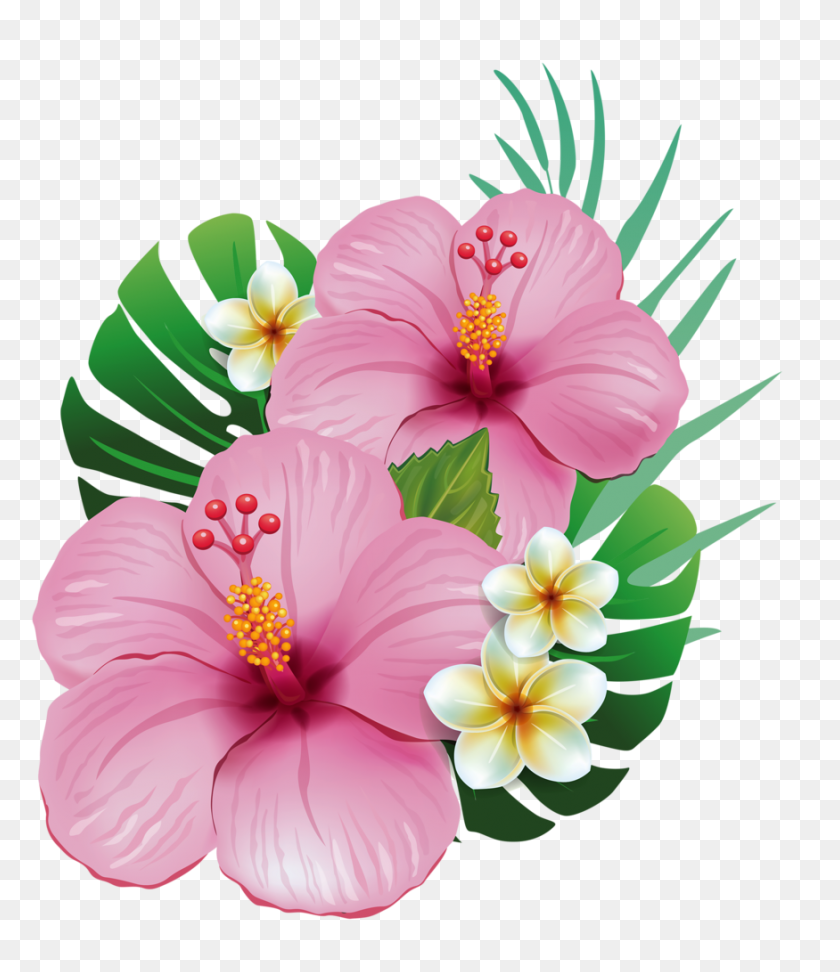875x1024 Paint Flores, Festa Tropical E Desenhos - Flores PNG