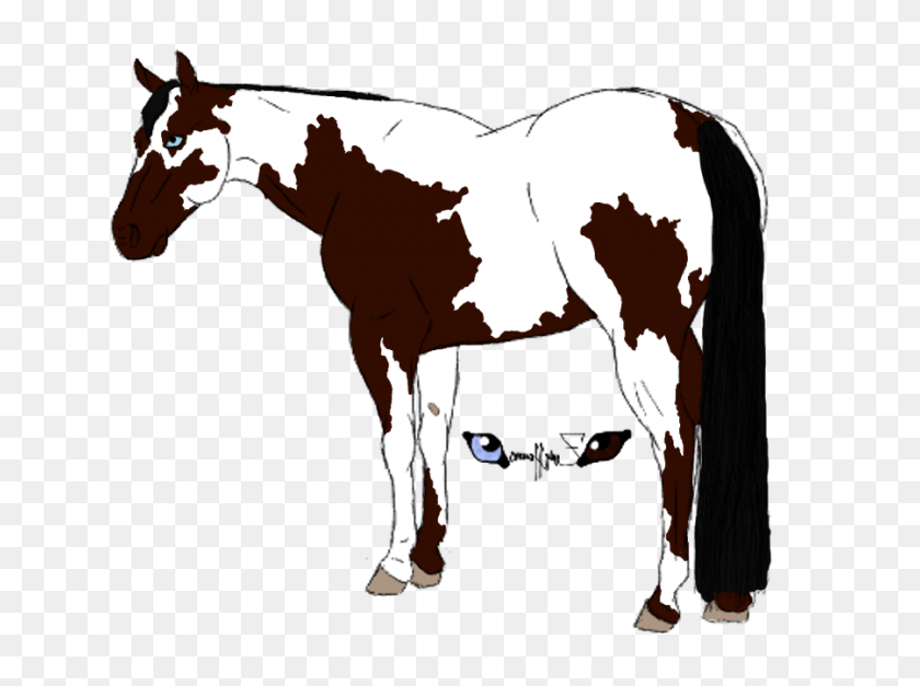 900x655 Paint Horse Drawing Auction - Auction Clipart