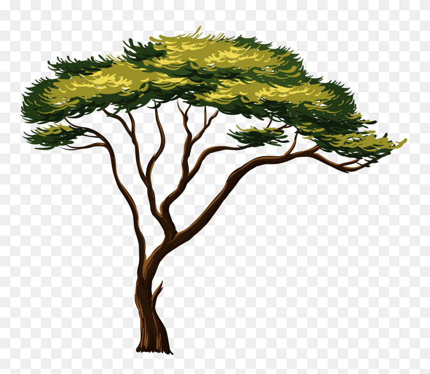 4792x4120 Painted African Tree Png Clipart - Tree PNG Transparent