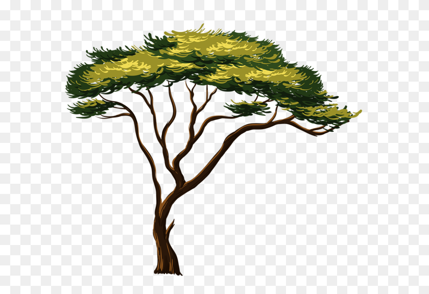 600x516 Окрашенное Африканское Дерево Png Клипарт Изображение Границы - Акварельное Дерево Png