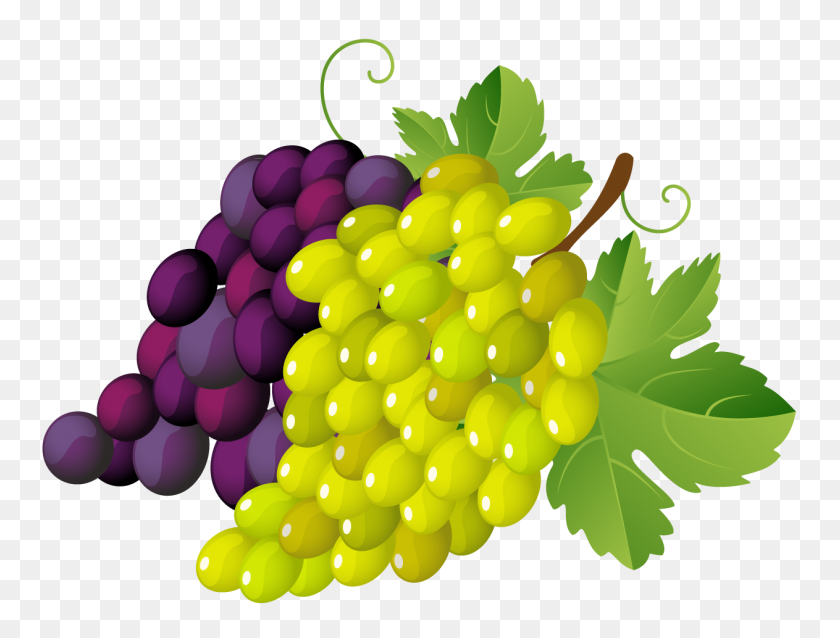 1263x937 Painted Grapes Png Clipart Inspiracion Clip Art - Wine Grapes Clipart