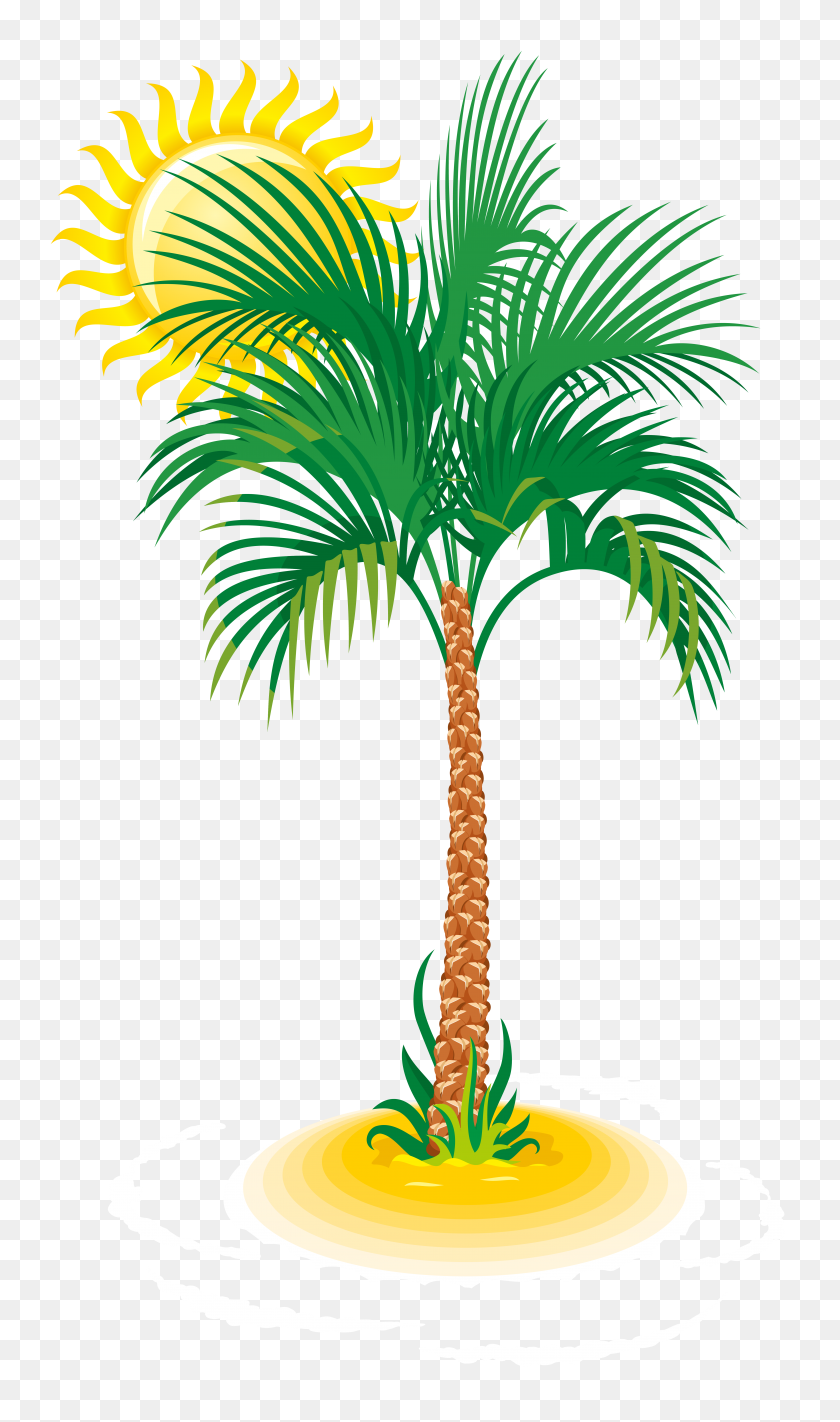 5845x10207 Palm And Sun Png Clip Art - Palm PNG
