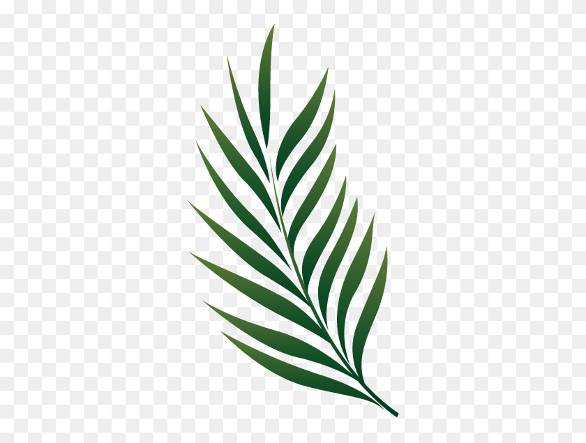 356x575 Palm Branch, Wallpapers Png - Palm Branch PNG