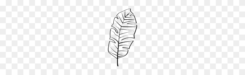 200x200 Palm Frond Icons Noun Project - Palm Frond PNG