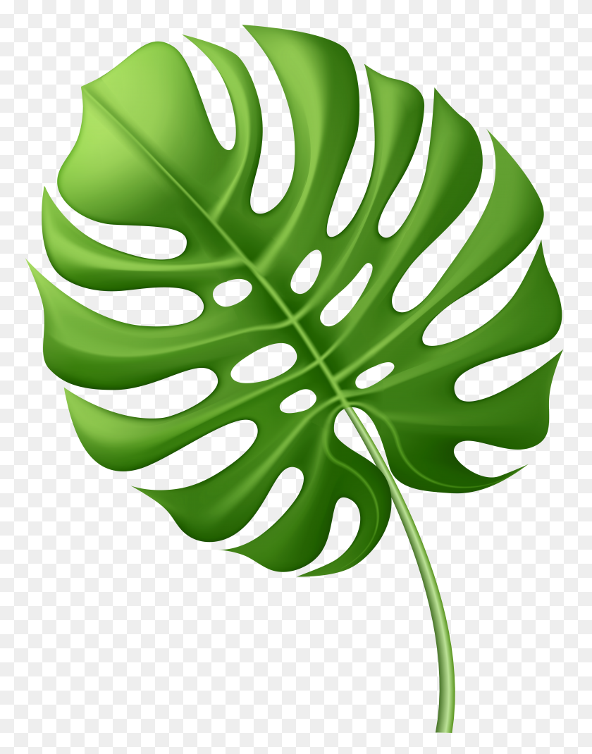 Palm Leaf Png - Palm Fronds PNG