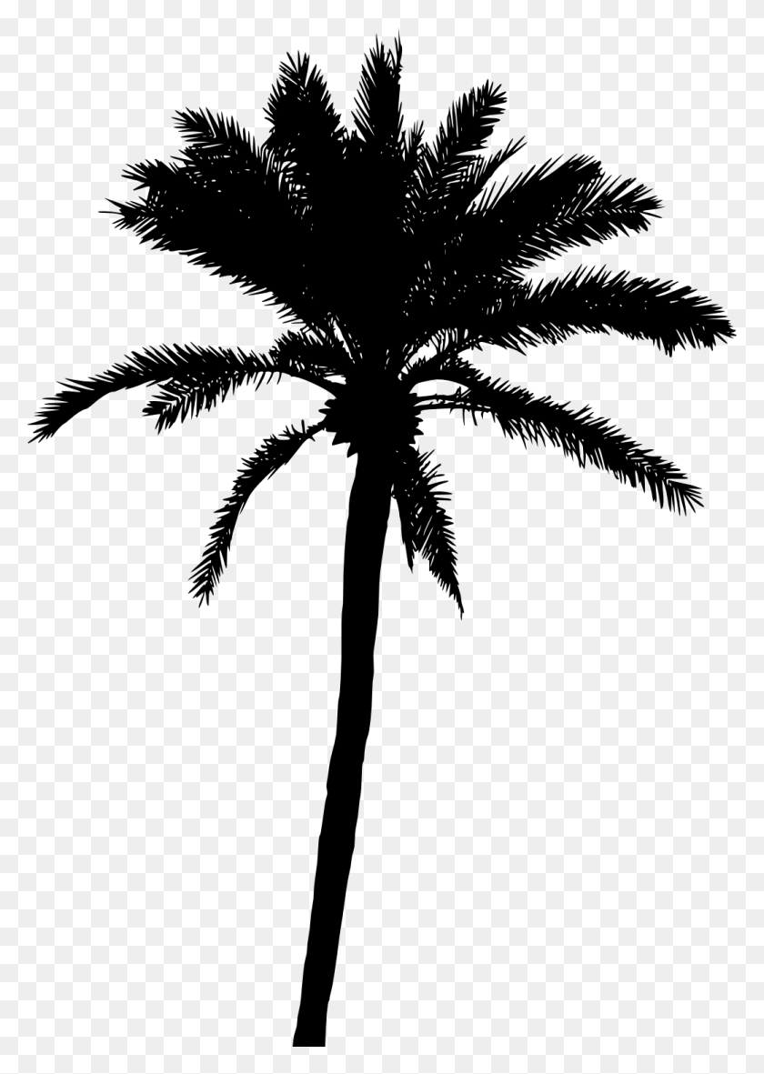 1043x1500 Palm Leaf Vector Png For Free Download On Ya Webdesign - Palm Tree Leaves PNG