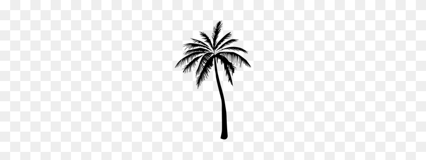 256x256 Palm Palm Tree Summer Silhouette - Palmeras PNG