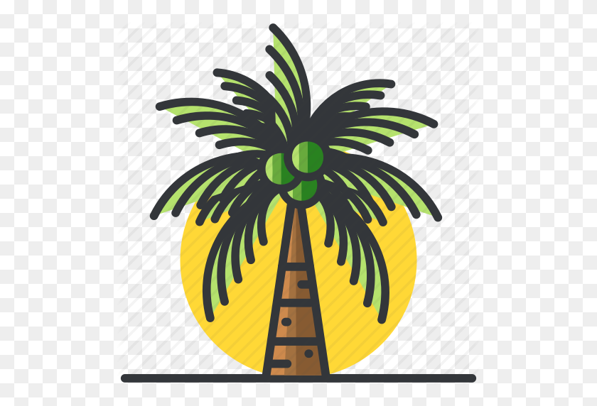 512x512 Пальма, Растения, Дерево, Деревья, Тропическая Икона - Тропические Растения Png