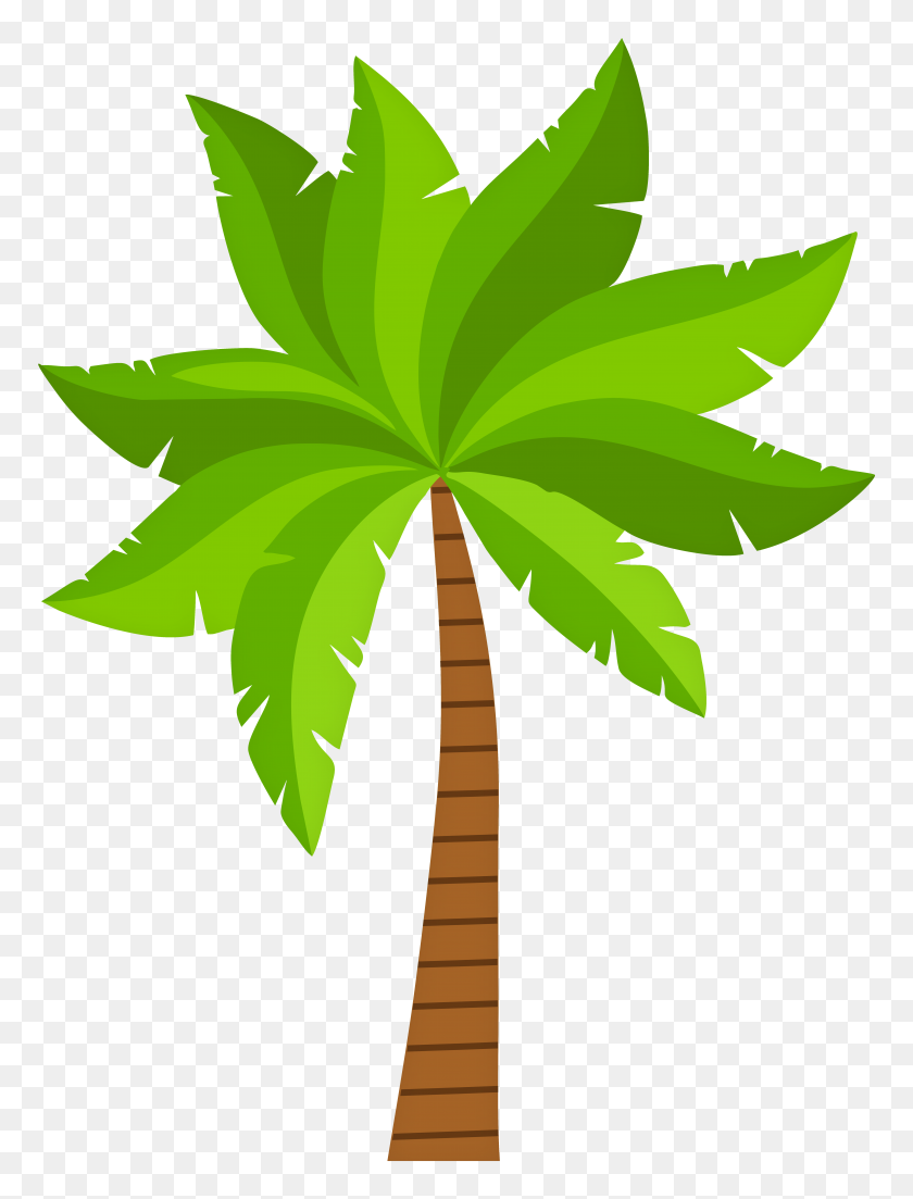 5978x8000 Palm Png Clipart - Palm PNG