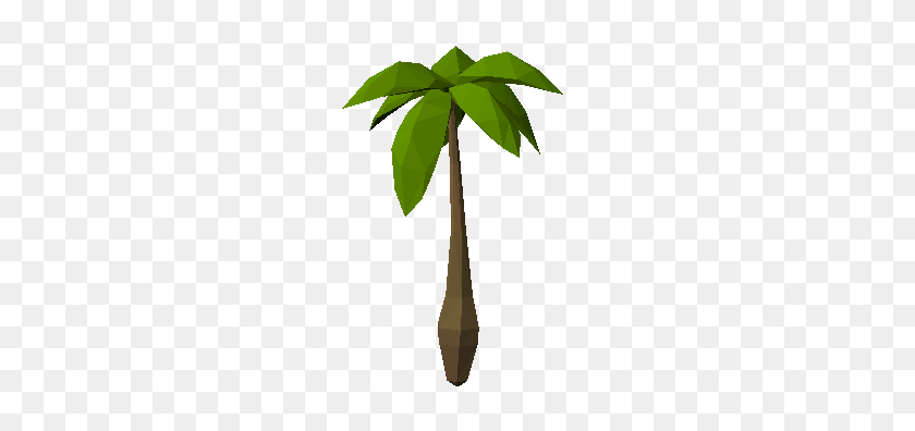 222x336 Palm Tree - Palm Tree Leaf PNG