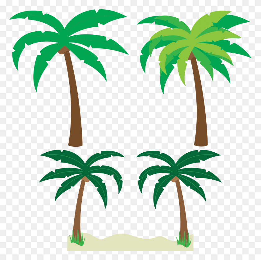 2000x1995 Palm Tree Art Tropical Palm Trees Clip Art Clip Art Palm Tree - Palm Tree Beach Clip Art