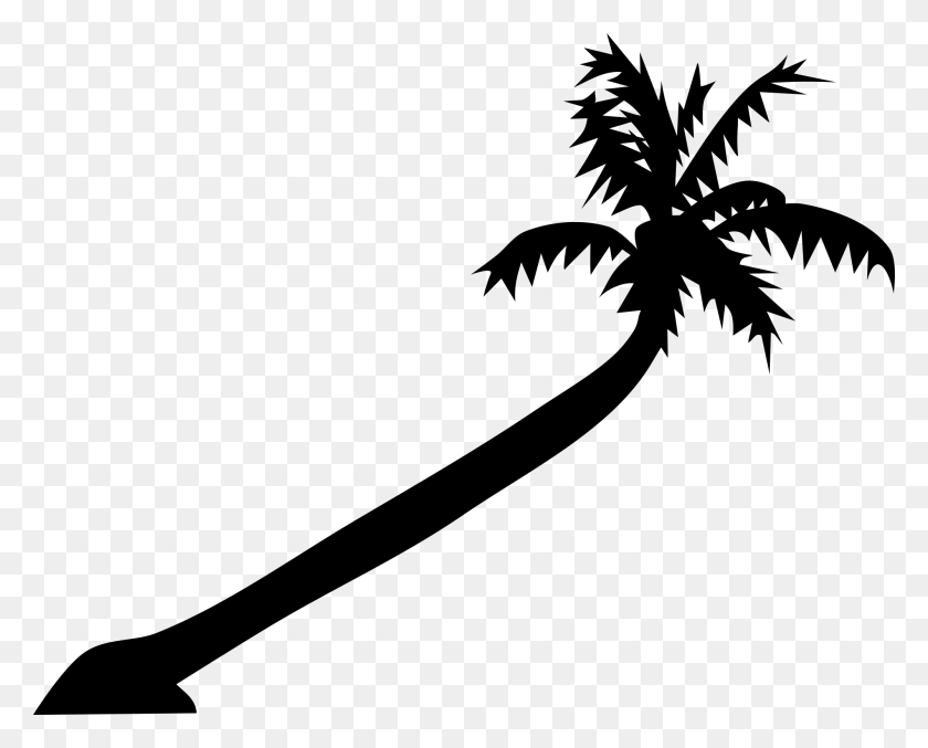 2000x1584 Palm Tree Art Клип С Тропическими Пальмами Вернуться К Изображениям - Тропический Рождественский Клипарт