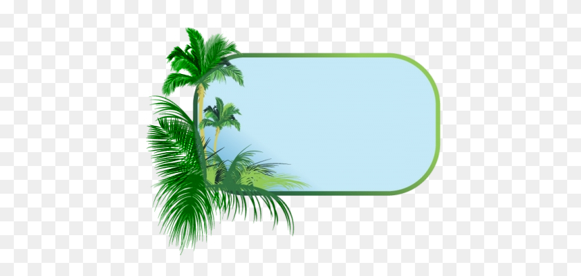 438x339 Palm Tree Border Clipart - Palm Tree Border Clipart