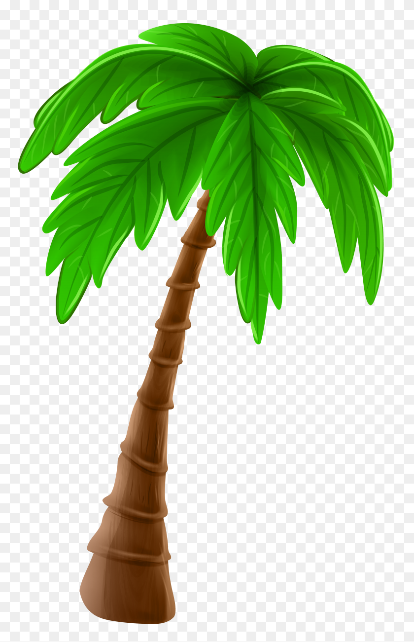 5026x8000 Palm Tree Cartoon Png Clip Art - Palm PNG