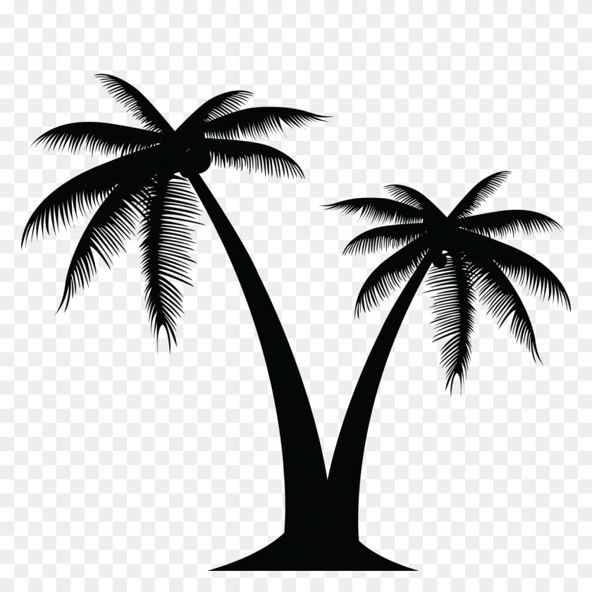 1181x1181 Palm Tree Clip Art - Palm Clipart
