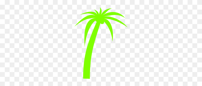 222x298 Palm Tree Clip Art - Pom Clip Art