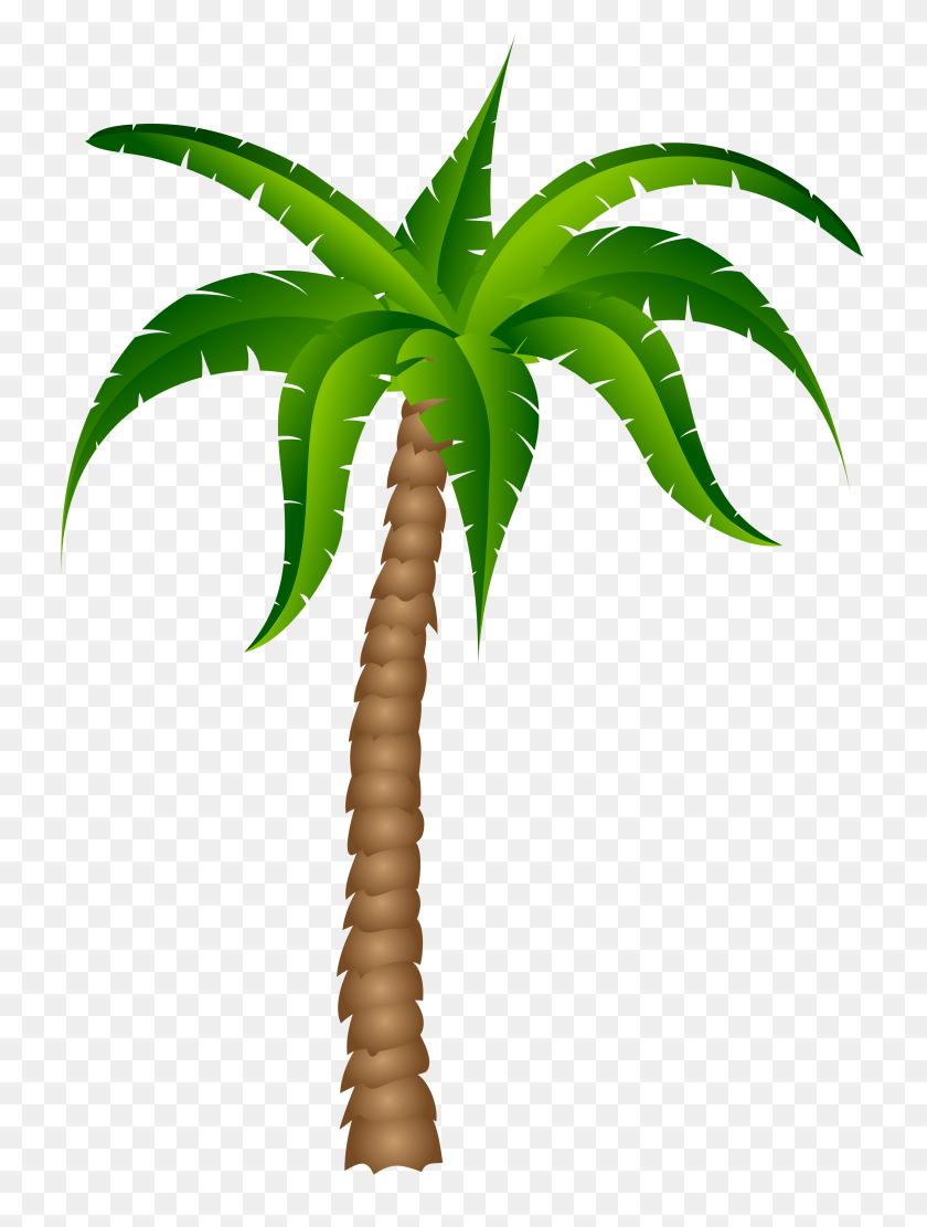 3672x4952 Palm Tree Clip Art At Vector Clip Art Online - Jungle Tree Clipart