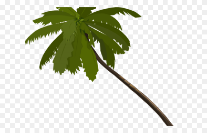 640x480 Palm Tree Clipart - Tropical Leaves PNG