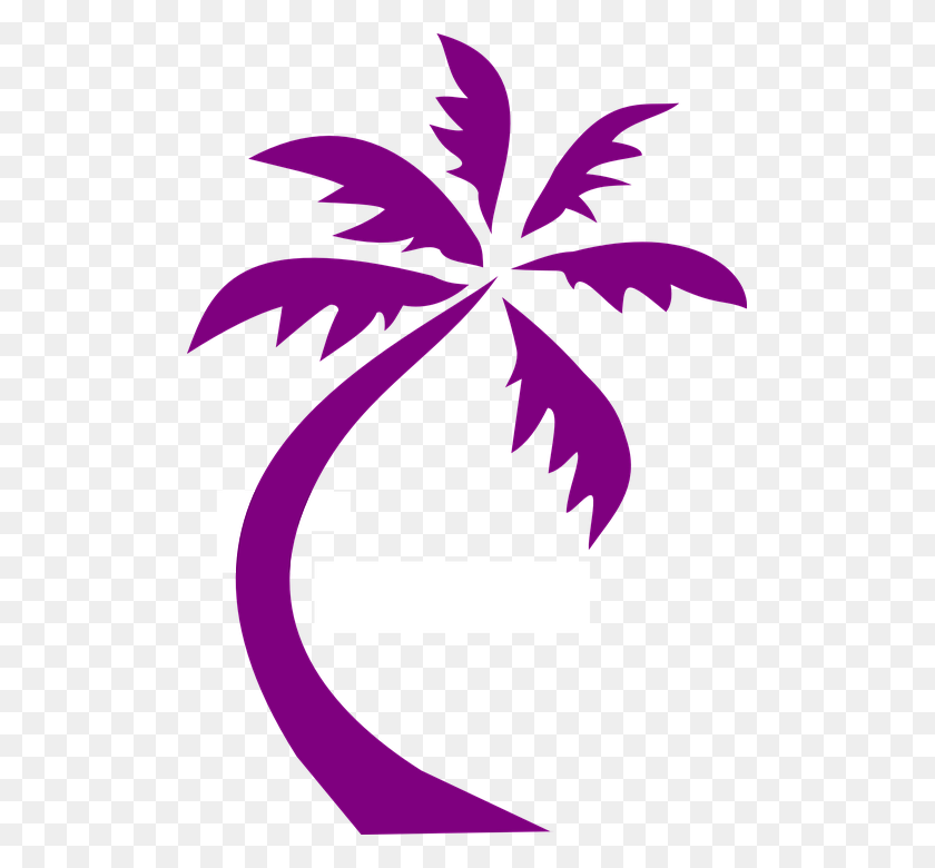 503x720 Palm Tree Clipart Detailed - Palm Tree PNG