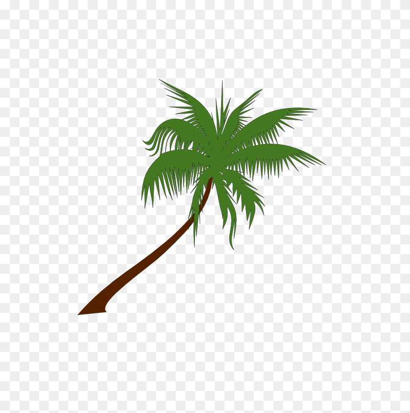 555x785 Palm Tree Clipart No Background - Palm Tree Clipart No Background